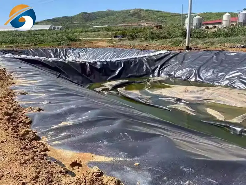 لایه ژئوممبران HDPE برای آب‌بندی در پروژه‌های عمرانی