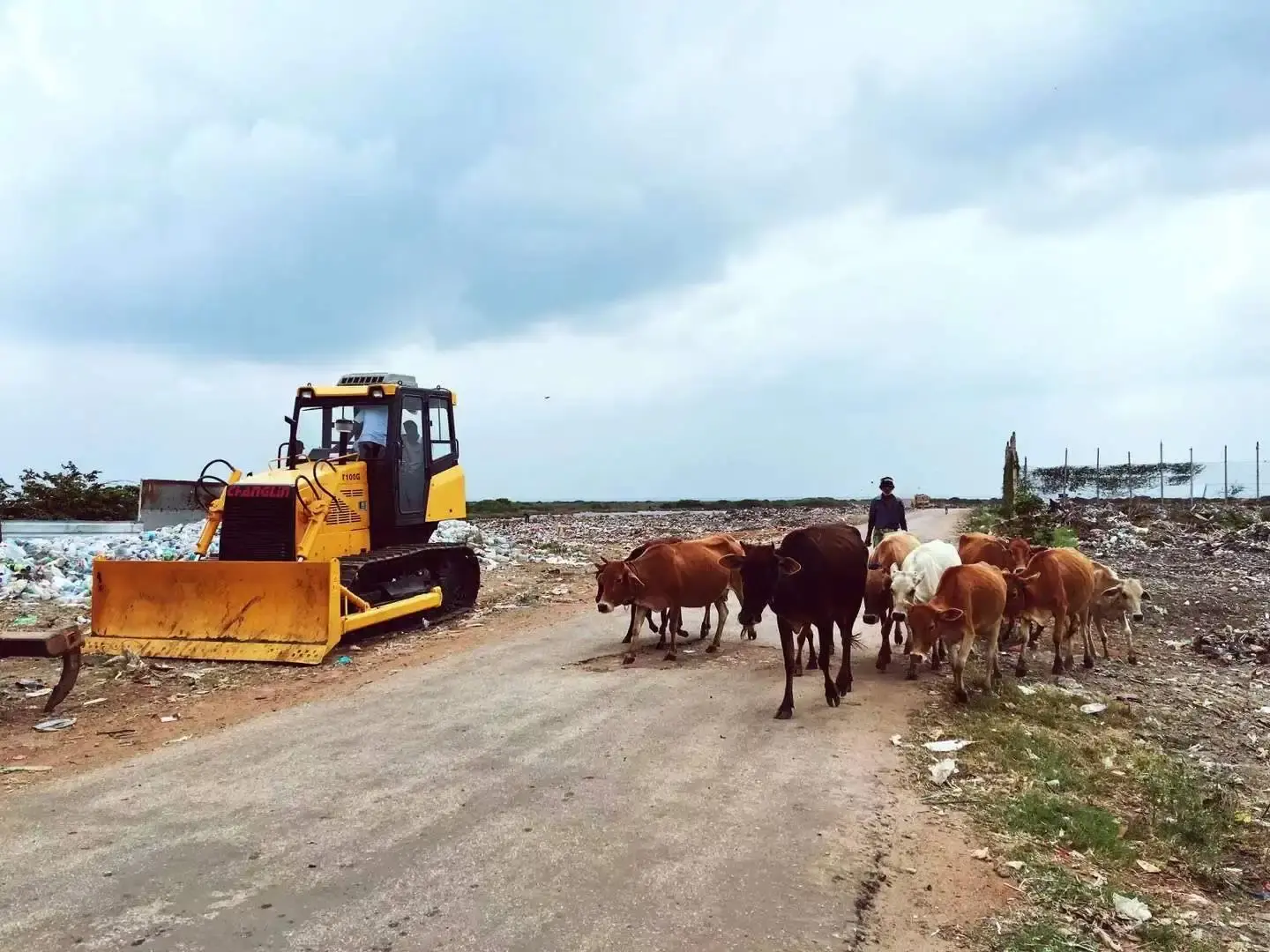 مینی بیل مکانیکی در حال جابجایی خاک در یک پروژه عمرانی