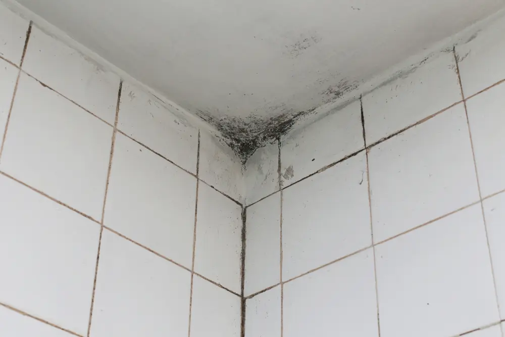 کپک روی سقف گوشه حمام پس از استفاده