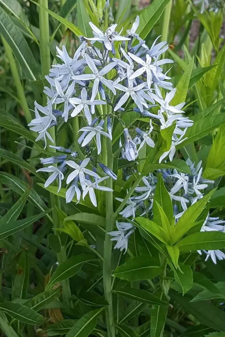 نمای مناسب مناطق مرطوب