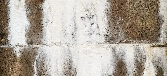 رفع شوره دیوار زیرزمین