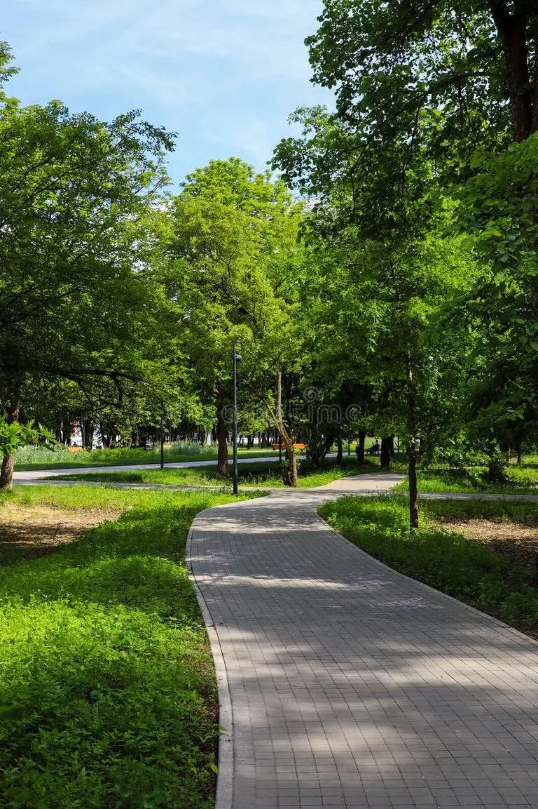 توسعه مسیرهای پیاده در شهرها
